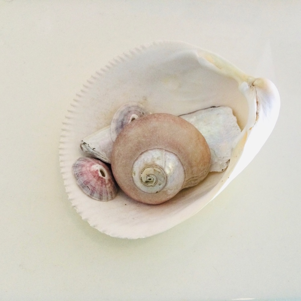 Meet your Posher, ScrappySmiling!